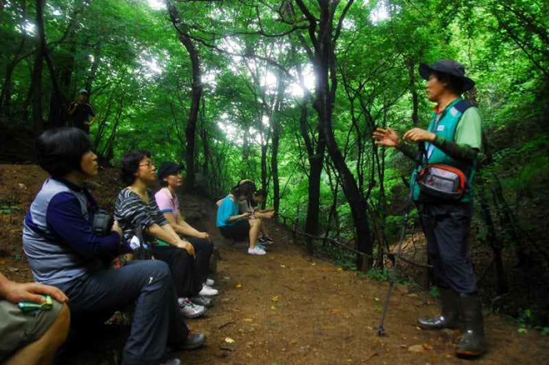 Uljin Geumgang Pine Trail  (1/7)