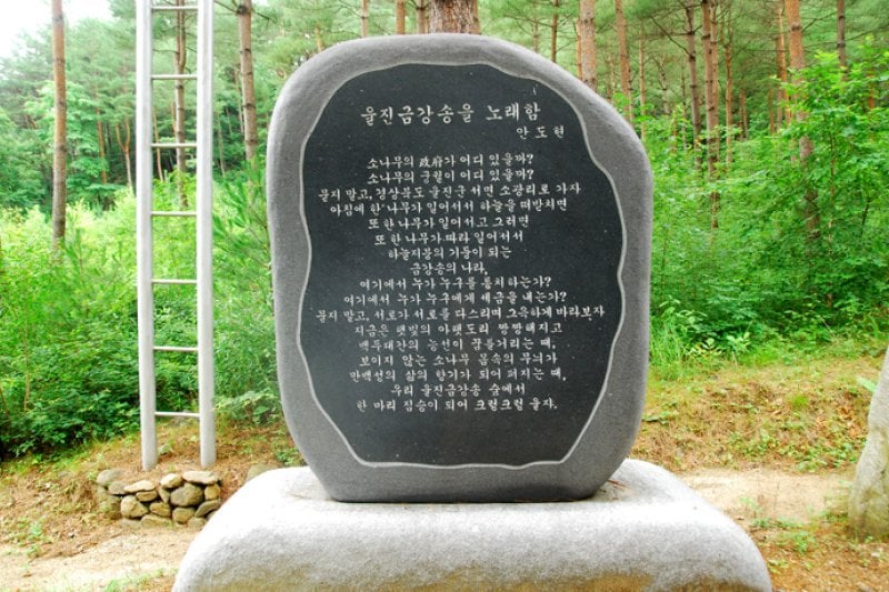 Uljin Geumgang Pine Trail  (6/7)