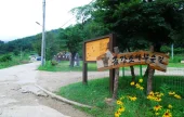 Uljin Geumgang Pine Trail 