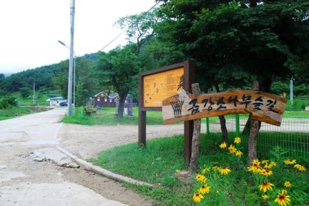 Uljin Geumgang Pine Trail 