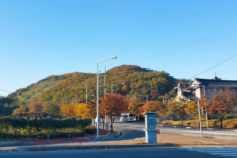 Unification Park  (9/12)