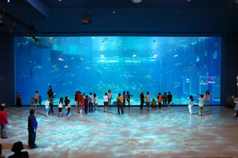 Hanwha Aqua Planet Jeju  (3/8)