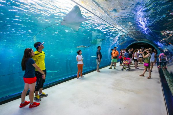 Hanwha Aqua Planet Jeju