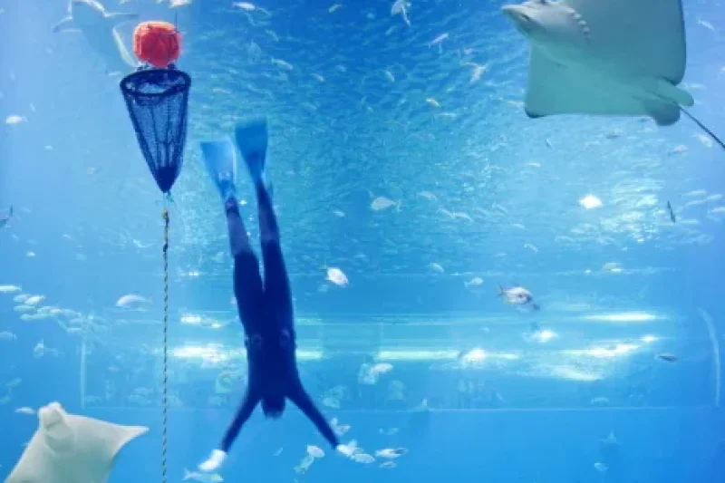 Hanwha Aqua Planet Jeju  (6/8)