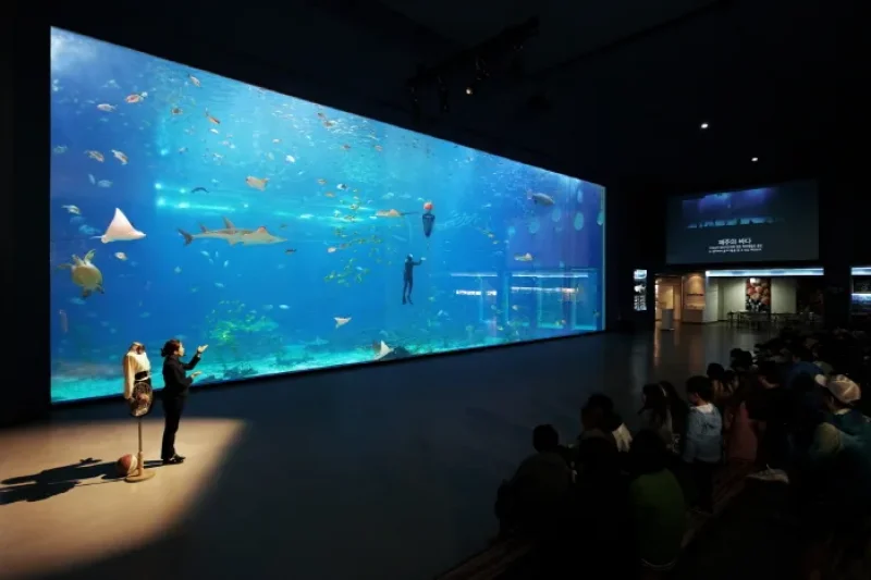 Hanwha Aqua Planet Jeju  (7/8)