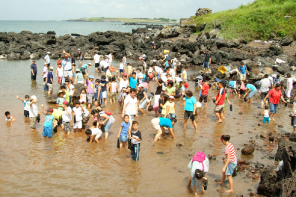 Jeju Dodu Oraemul Festival