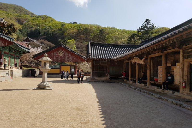 Bogwangsa Temple  (31/49)
