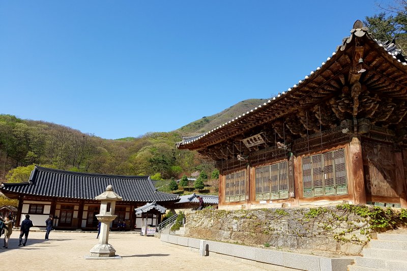 Bogwangsa Temple  (33/49)