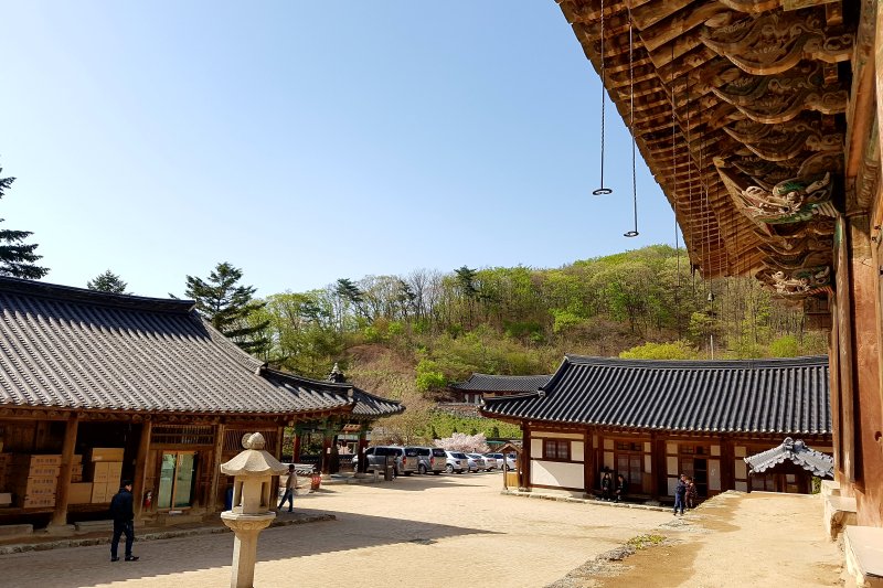 Bogwangsa Temple  (36/49)