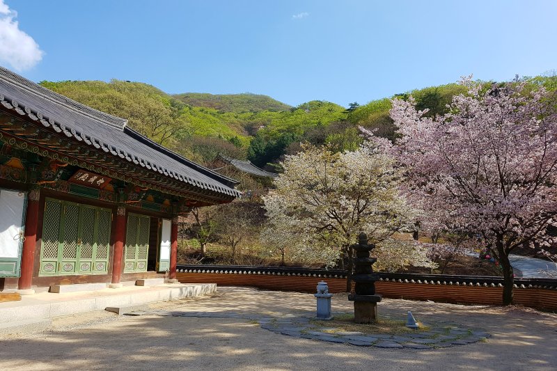 Bogwangsa Temple  (38/49)