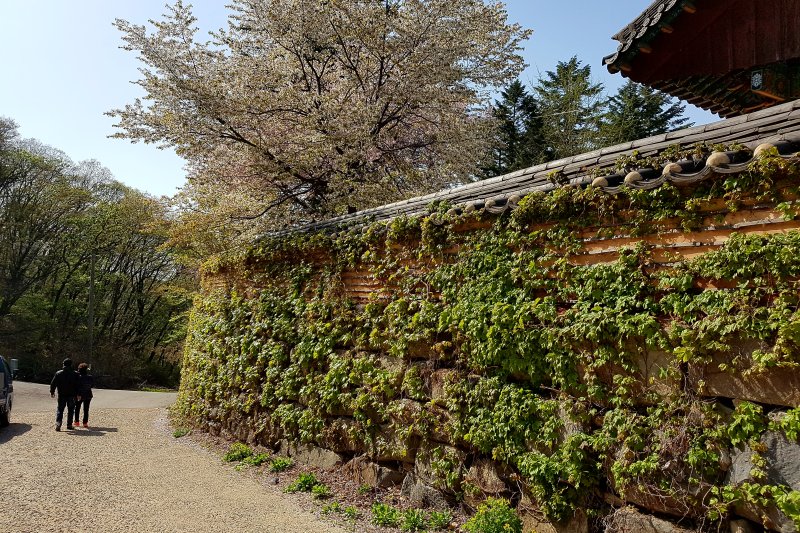 Bogwangsa Temple  (40/49)