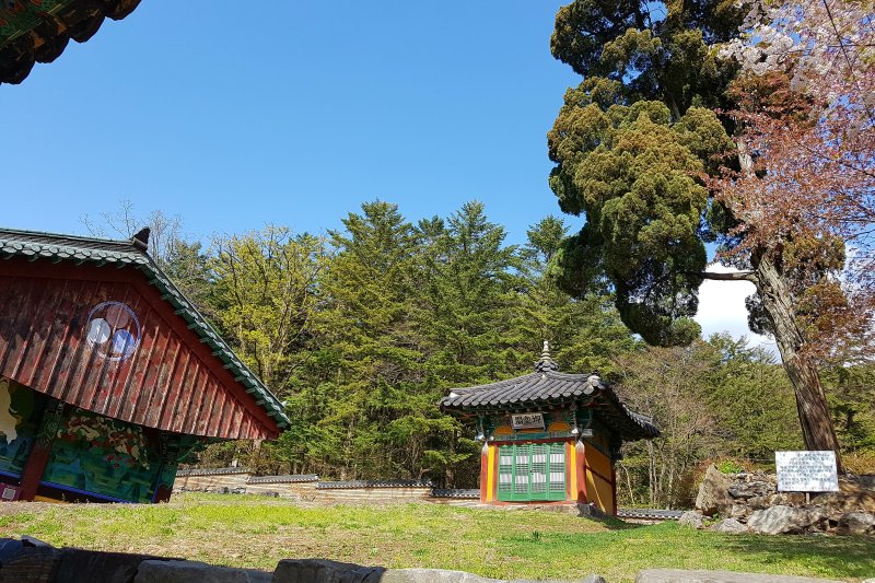 Bogwangsa Temple  (43/49)