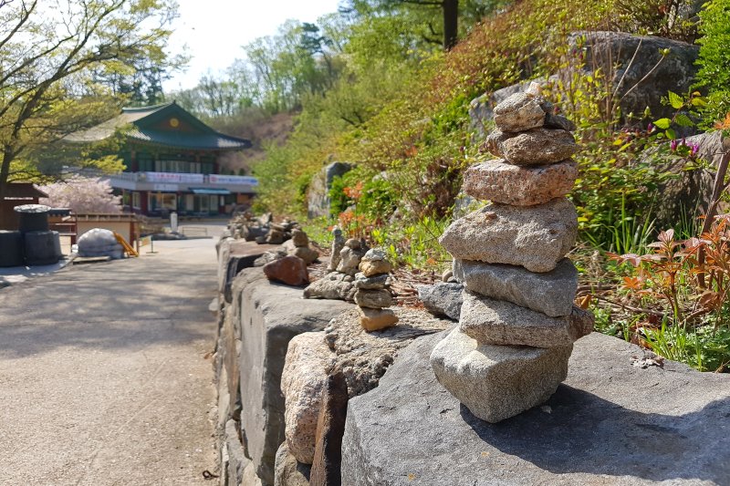 Bogwangsa Temple  (44/49)