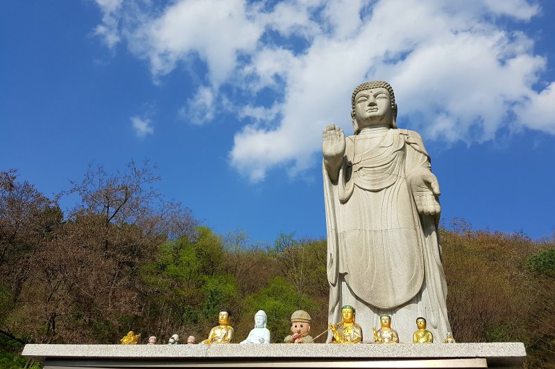 Bogwangsa Temple  (46/49)