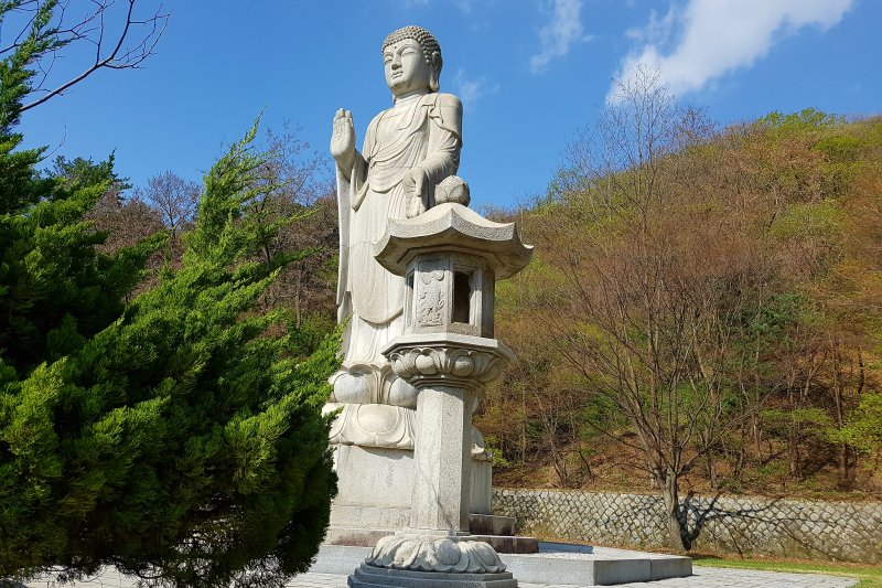 Bogwangsa Temple  (47/49)