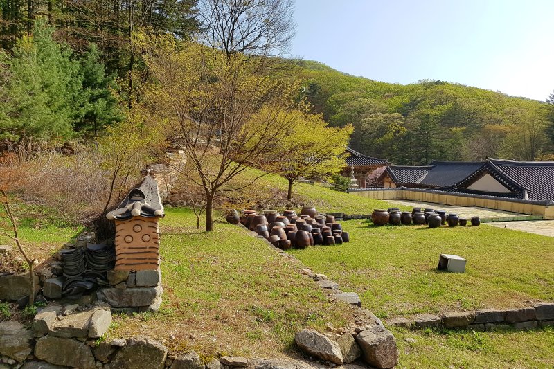Bogwangsa Temple  (48/49)