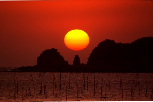 Dangjin Waemok Village Sunrise Festival