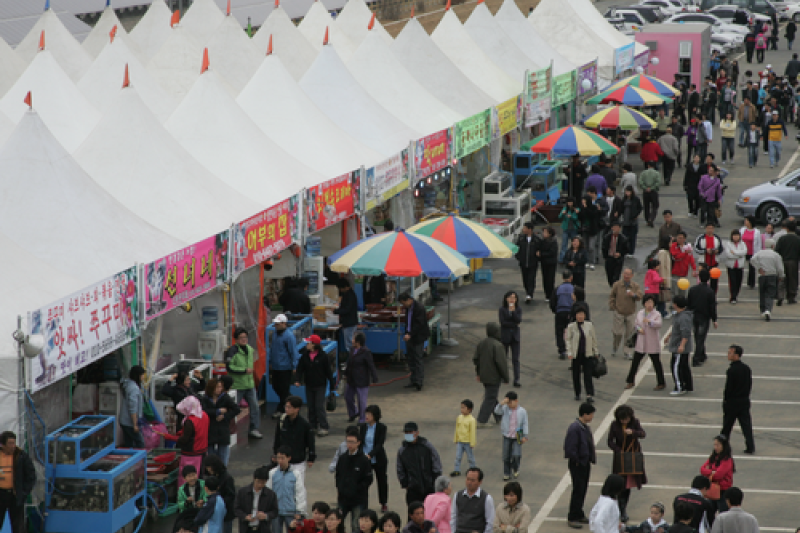 Seocheon Camellia Octopus Festival  (2/16)