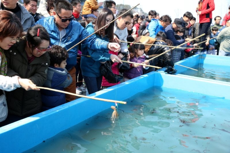 Seocheon Camellia Octopus Festival  (10/16)