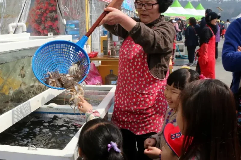 Seocheon Camellia Octopus Festival  (14/16)