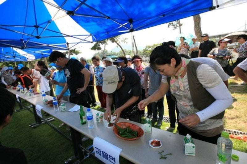Goesan Red Pepper Festival  (1/7)
