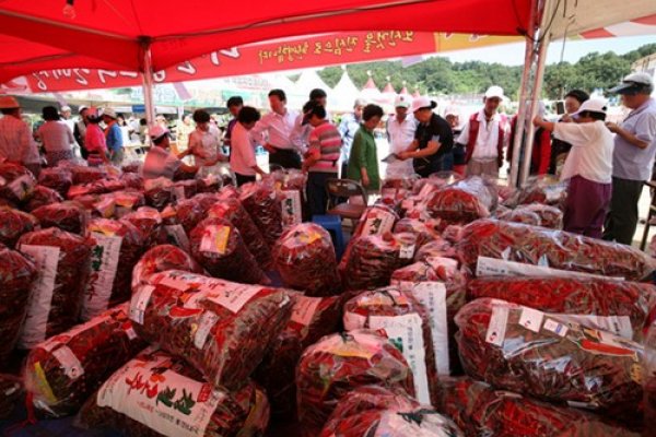 Goesan Red Pepper Festival