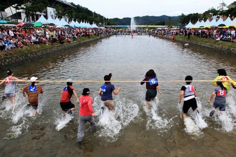 Goesan Red Pepper Festival  (5/7)
