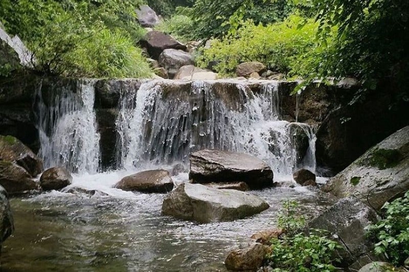 Gayasan National Park  (5/8)