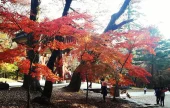 Gayasan National Park 