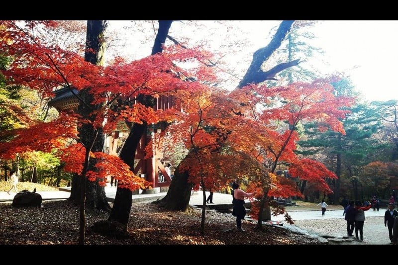 Gayasan National Park  (8/8)