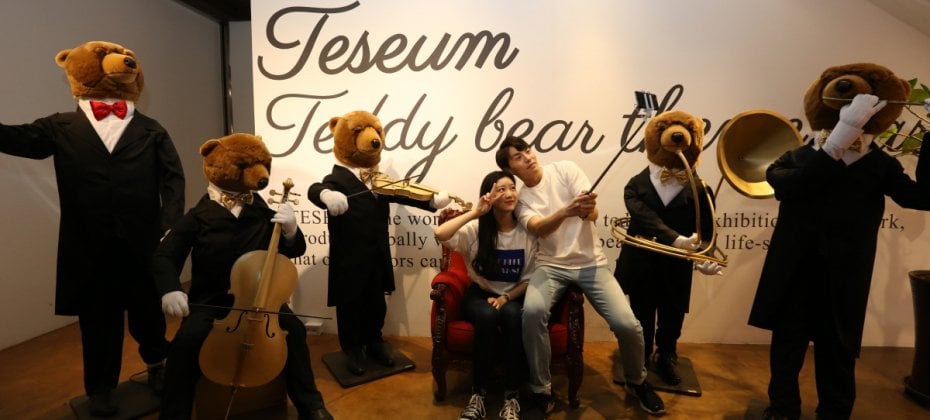Teseum Seoul Discount Tickets(Teddy Bear Theme Park) (9/51)