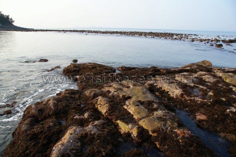 Chodo Island  (4/16)