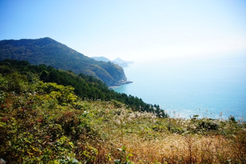 Geumodo Island  (3/19)