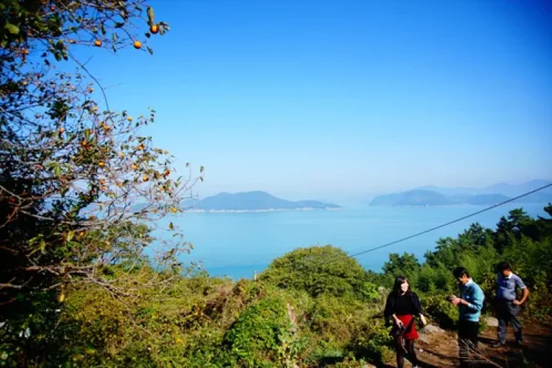 Geumodo Island  (6/19)