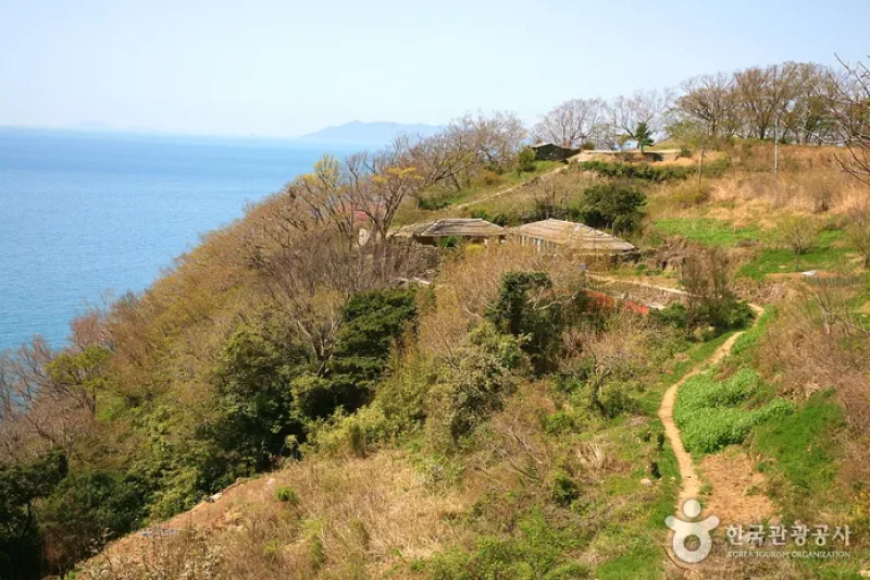 Geumodo Island  (18/19)