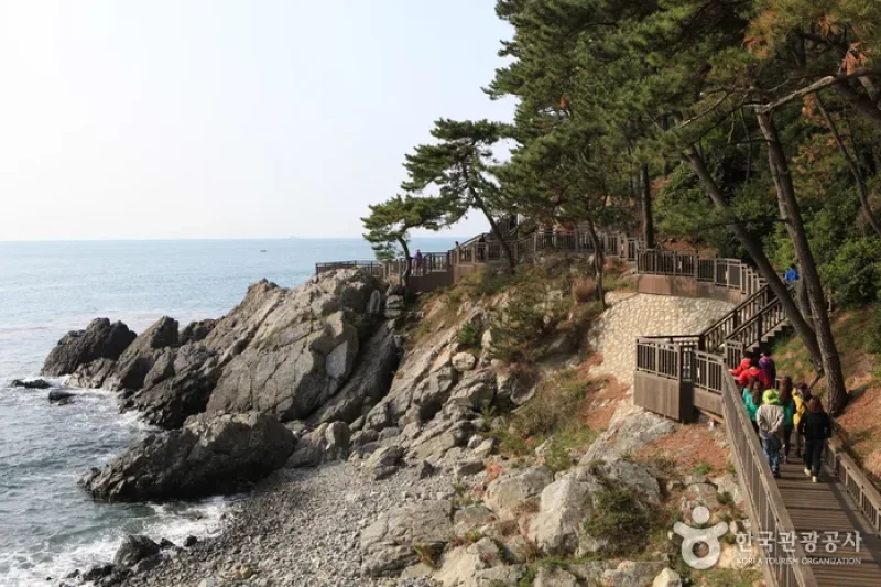 Haeundae Special Tourist Zone  (6/15)