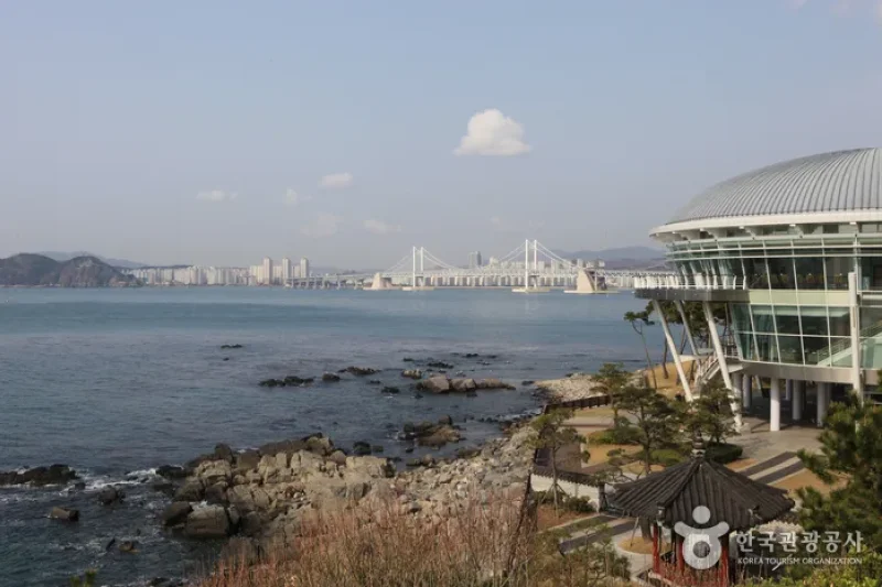 Haeundae Special Tourist Zone  (8/15)