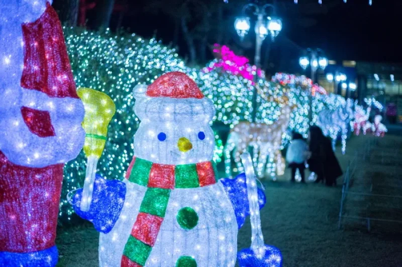 Byeokchoji Botanical Garden Lighting Festival  (2/4)