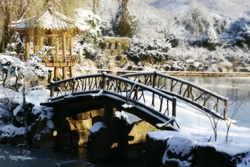 Byeokchoji Botanical Garden Lighting Festival  (3/4)