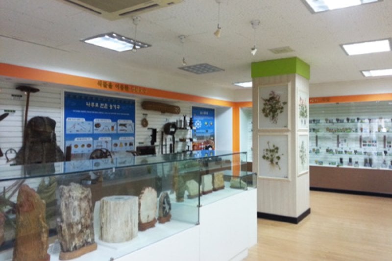 Ulsan Wild Flower Learning Center (1/4)