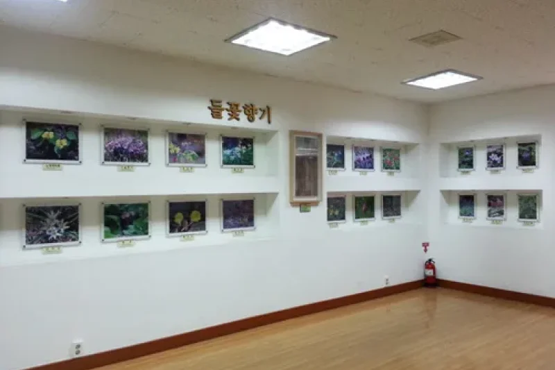 Ulsan Wild Flower Learning Center (2/4)