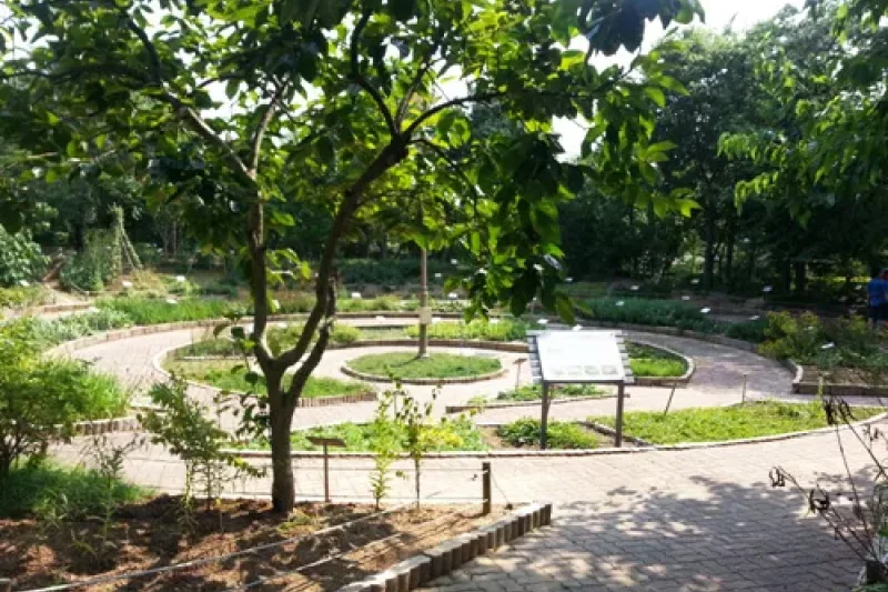 Ulsan Wild Flower Learning Center (4/4)