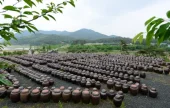 Andong Hahoe Doenjang Village 