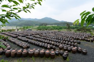 Andong Hahoe Doenjang Village 
