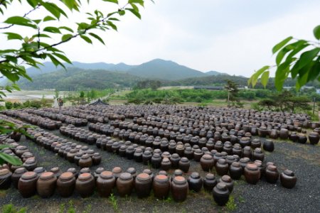 Andong Hahoe Doenjang Village 