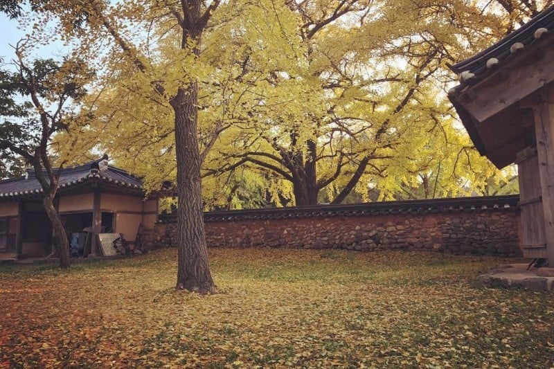 Boryeong Eunhaeng  (3/6)