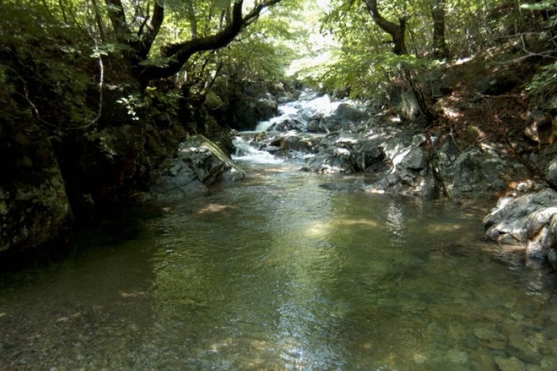 Jukgyegugok Valley  (2/4)