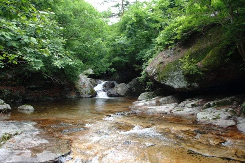 Jukgyegugok Valley  (4/4)