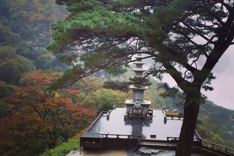 Cheongnyangsa Temple  (1/1)