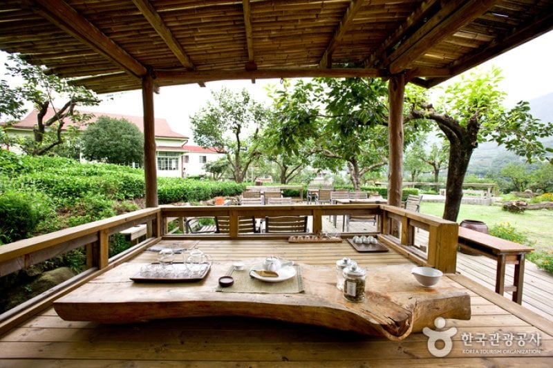 Maeam Tea Museum  (4/17)